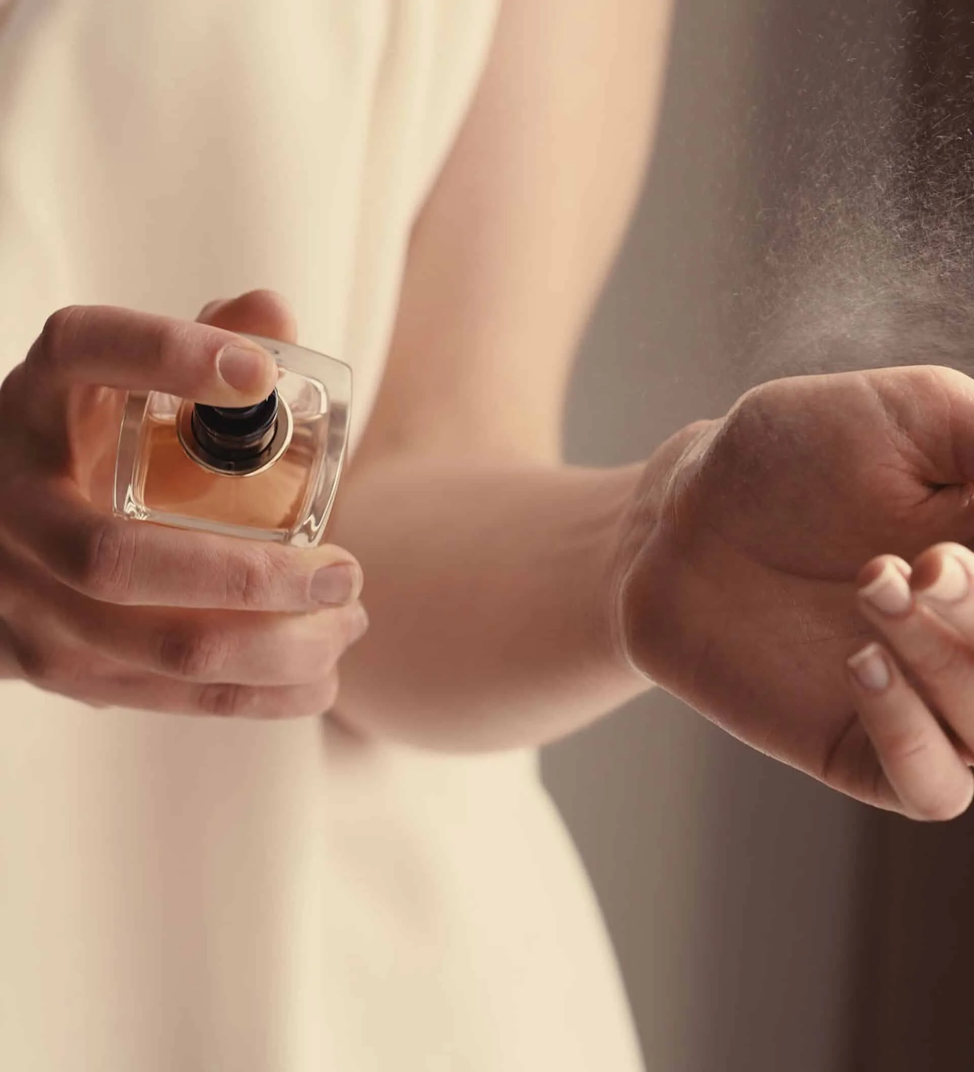 عطر شانيل كانسه دو كولون اكتشف روعة الأناقة والأنوثة