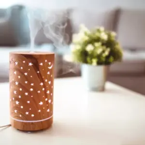 اهميه وفوائد تعطير المنزل وما هى افضل انواع المعطرات الجويه للمنزل وهل هناك سلبيات للمعطرات الجويه للمنزل لنحرص منها