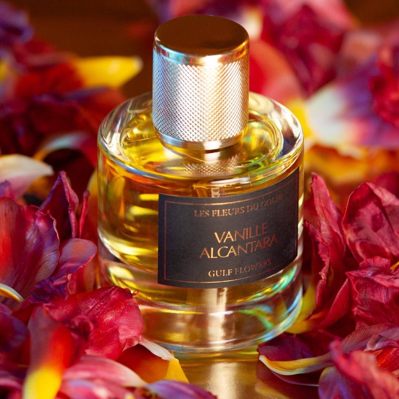 عطر فانيليا الكاننتارا افضل العطور المنعشه للخليجه